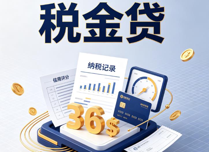 杭州企业税贷|杭州企业设备回租|杭州税贷过桥